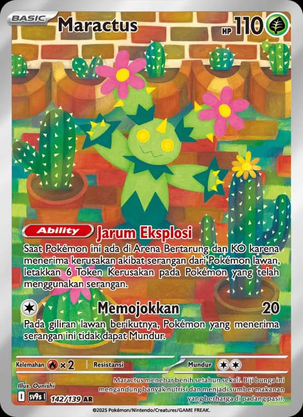 Maractus