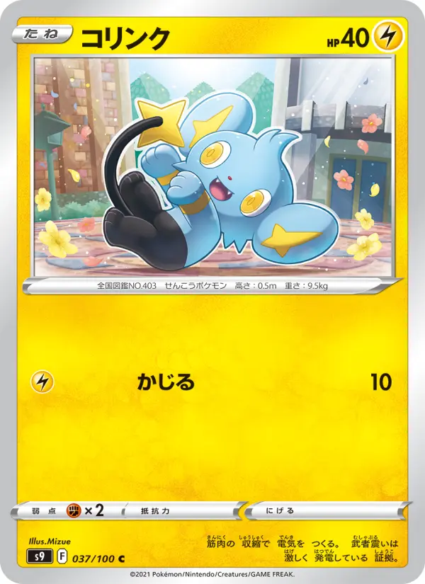 Shinx