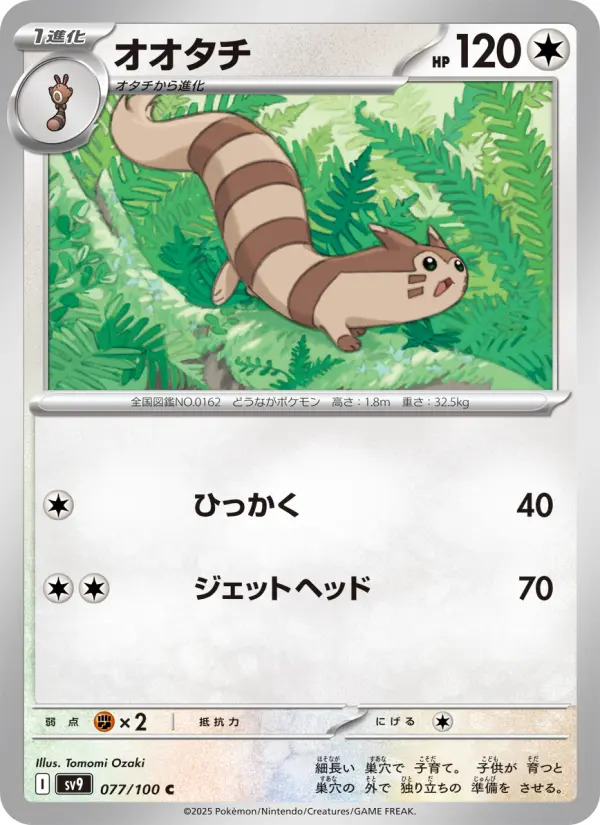 Furret