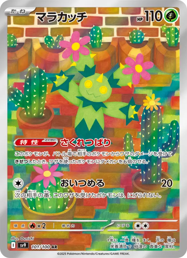 Maractus